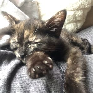 Meet your Posher, Daniella